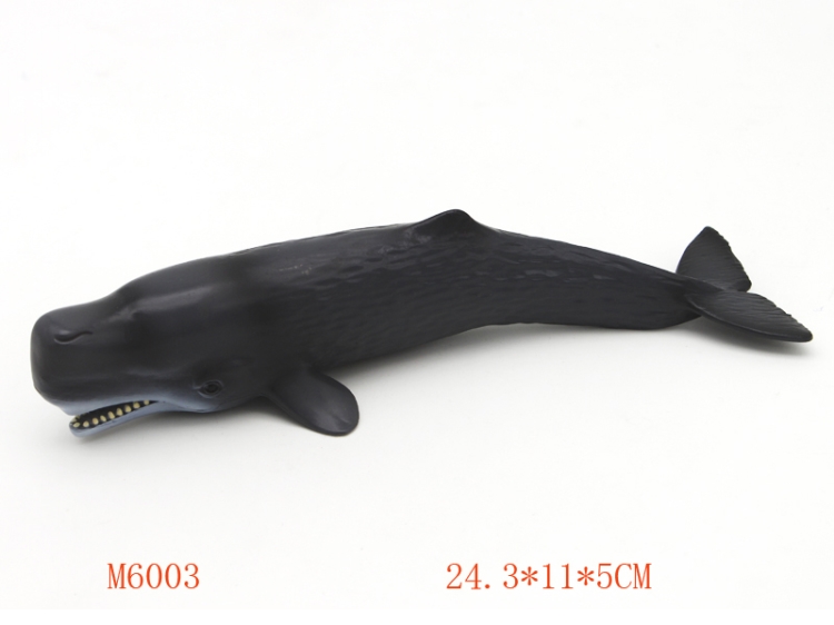 抹香鲸 M6003