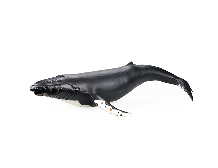 充气座头鲸 X082