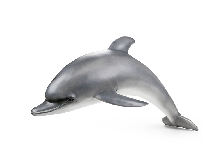 海豚 X068