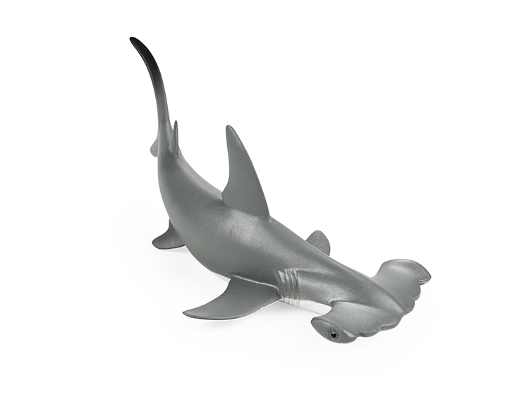 锤头鲨 X191