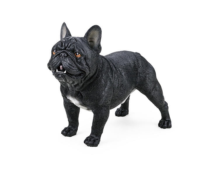 法国斗牛犬（黑） X186