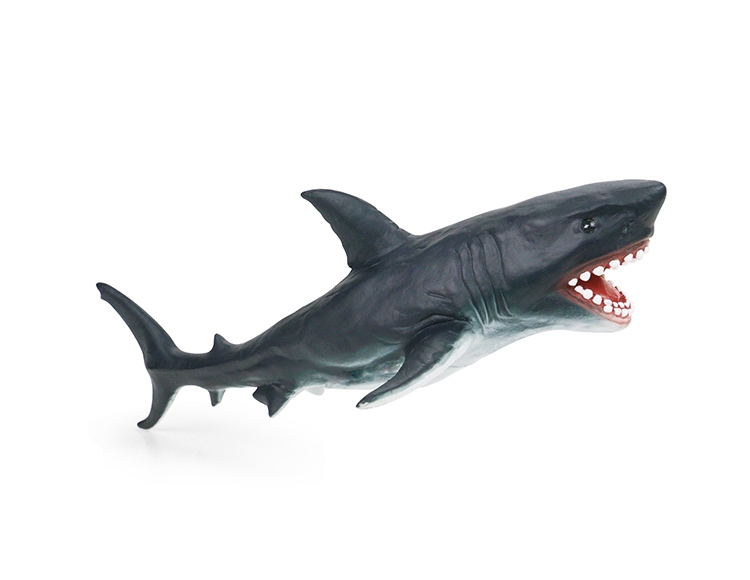 大白鲨 X104