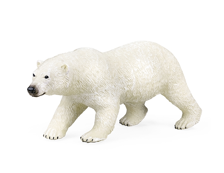北极熊 X131