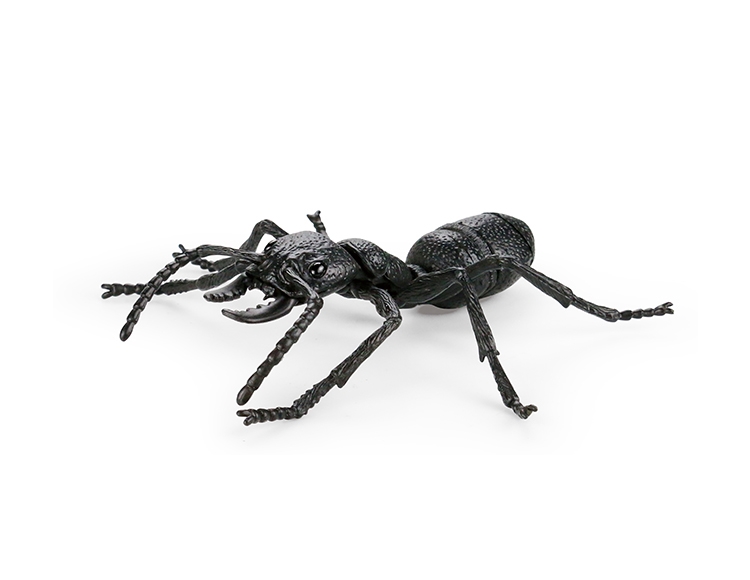 蚂蚁 X4073