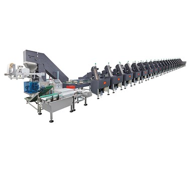 INTELLIGENT AUTOMATIC HIGH-SPEED BLOCKS COUNT PACKING LINE FS-501