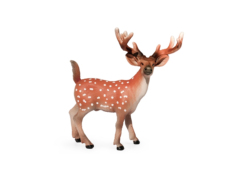 公梅花鹿(小) X2078