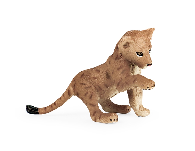 玩耍小狮子 X2003