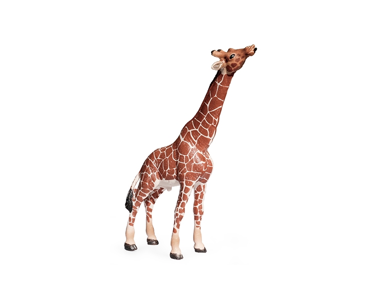 公长颈鹿(进食状) X2024