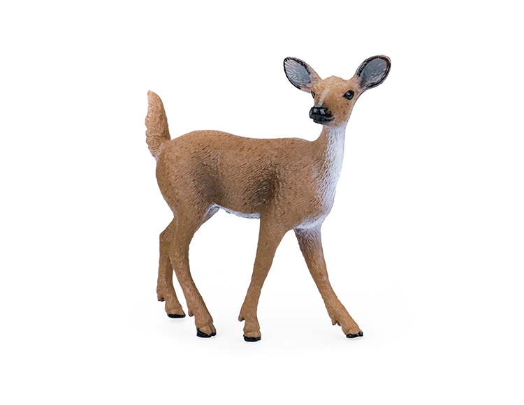 新母白尾鹿 X2039