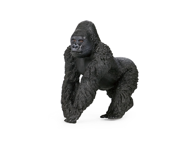 银背大猩猩 X1091