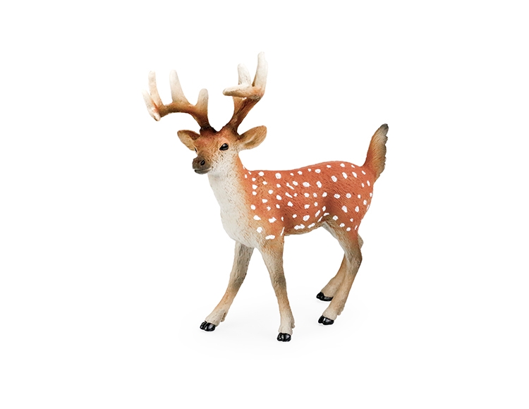 公梅花鹿(大) X2075