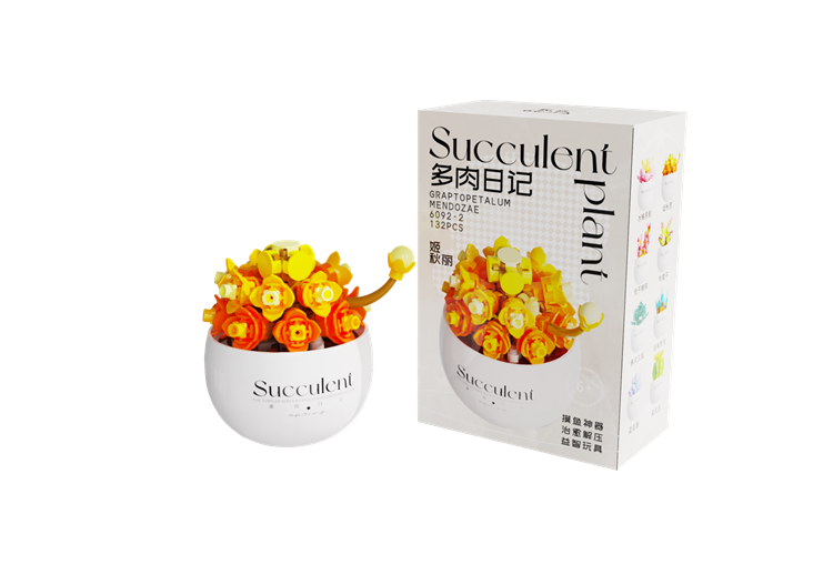 姬秋丽 6094-2