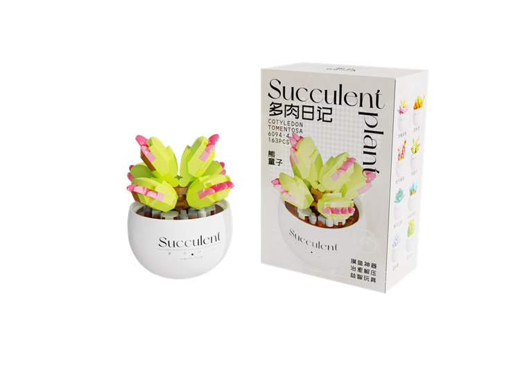 熊童子 6094-4