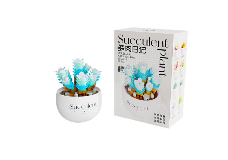钱串景天 6094-6