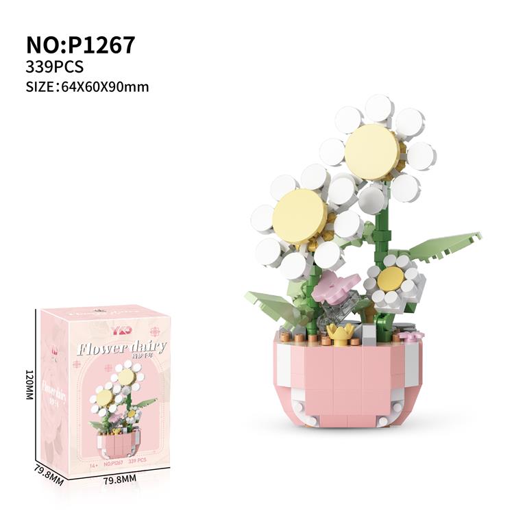 盆栽-绮梦千年 P1267