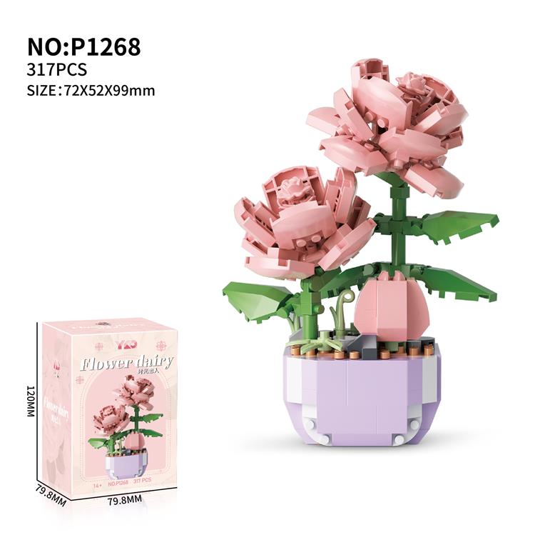 盆栽-时光恋人 P1268