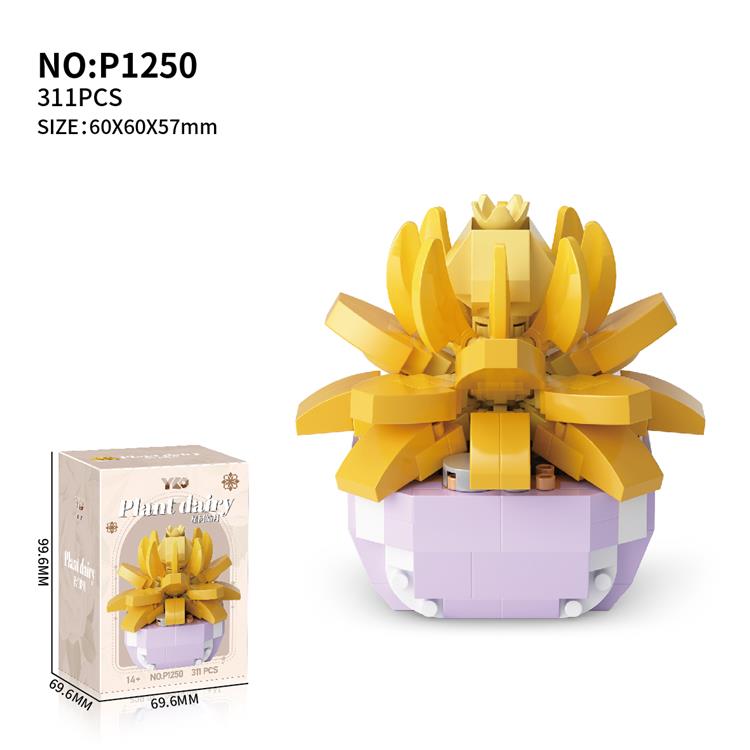 多肉-星河皓月 P1250