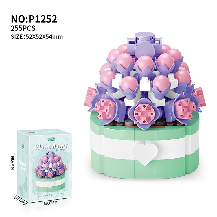 多肉-半夏时光 P1252