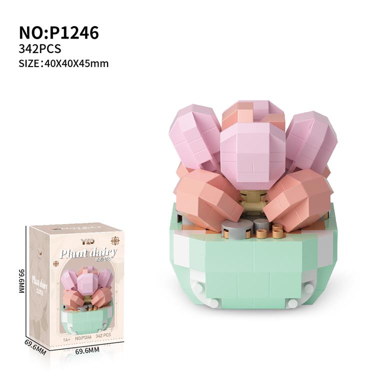 多肉-恋恋笔记 P1246