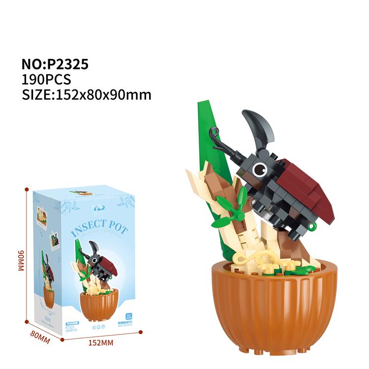 盆栽-甲虫明星 P2325