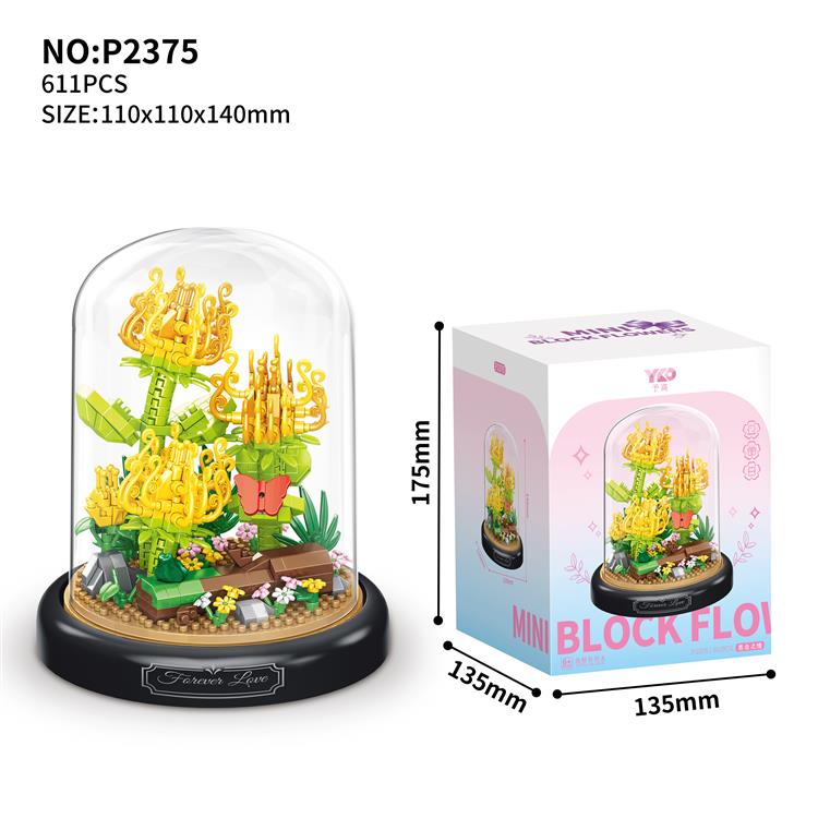 思念之情君子黄金菊 P2375