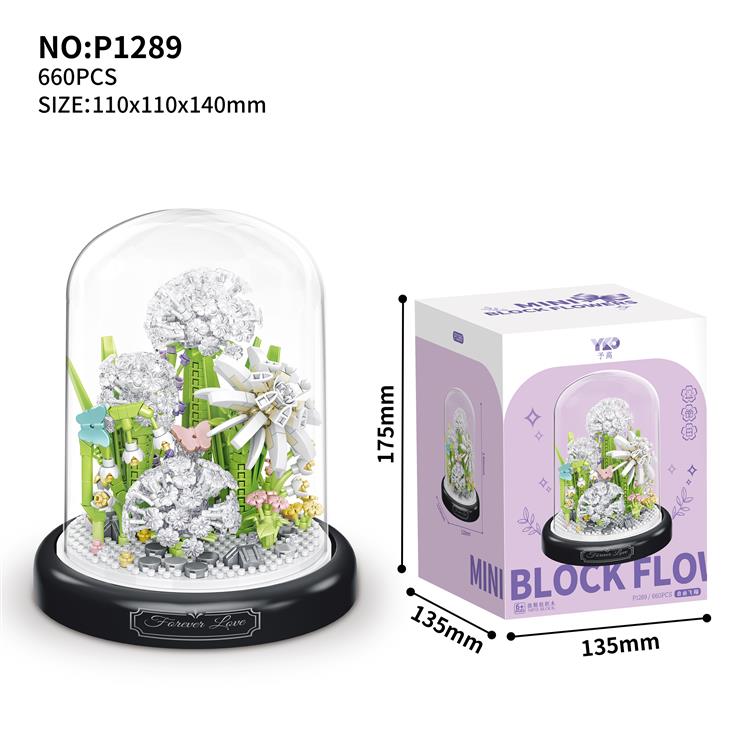 自由飞翔蒲公英 P1289