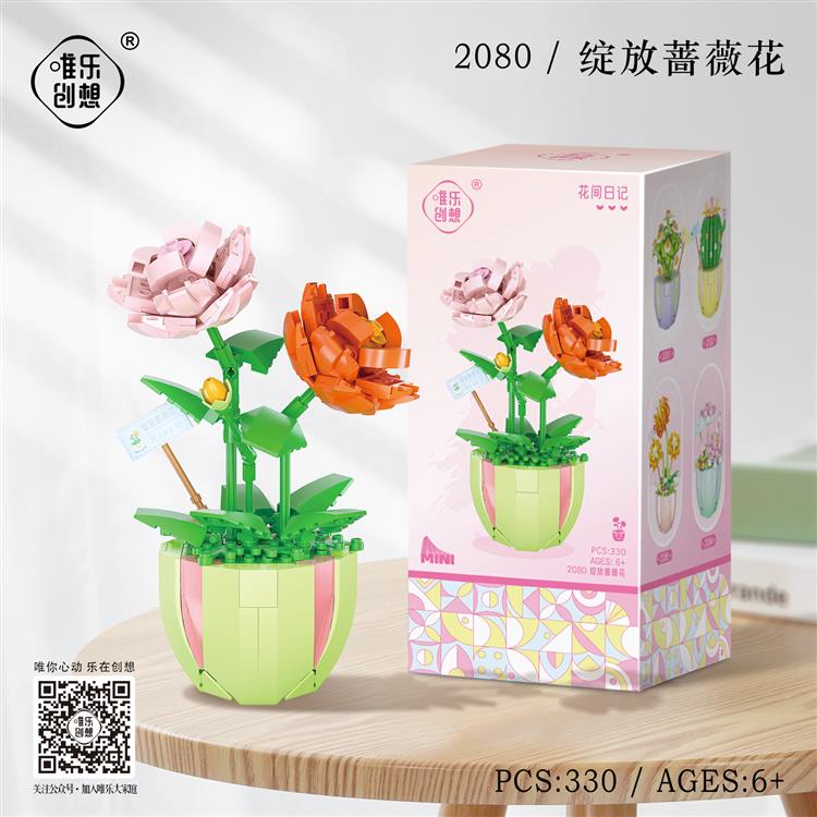 绽放蔷薇花 2080