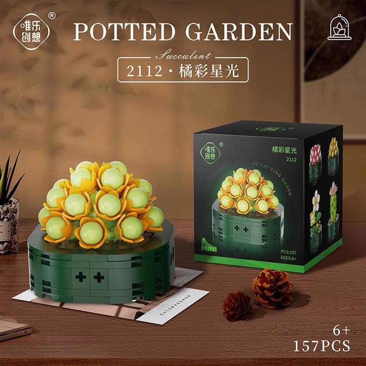 橘彩星光 2112