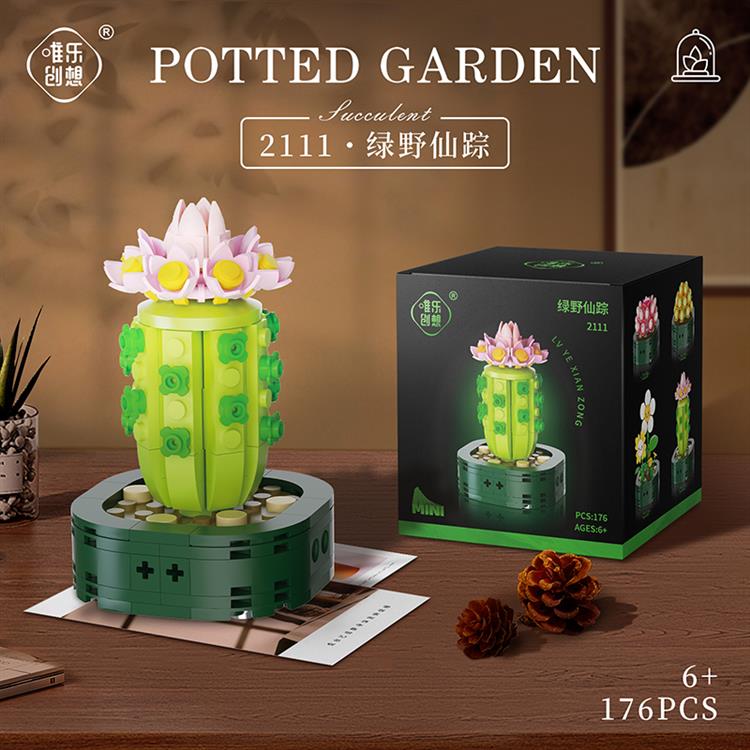 绿野仙踪 2111