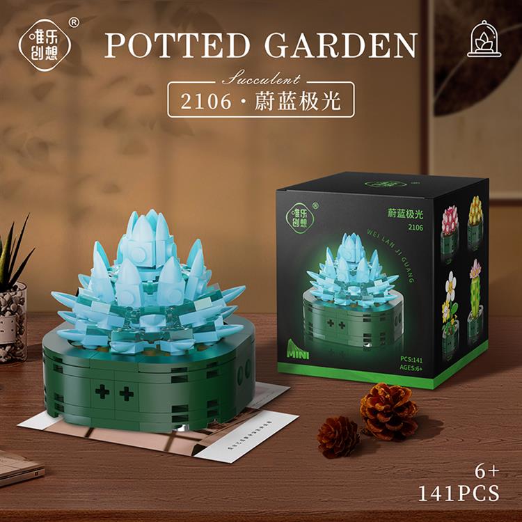 蔚蓝极光 2106