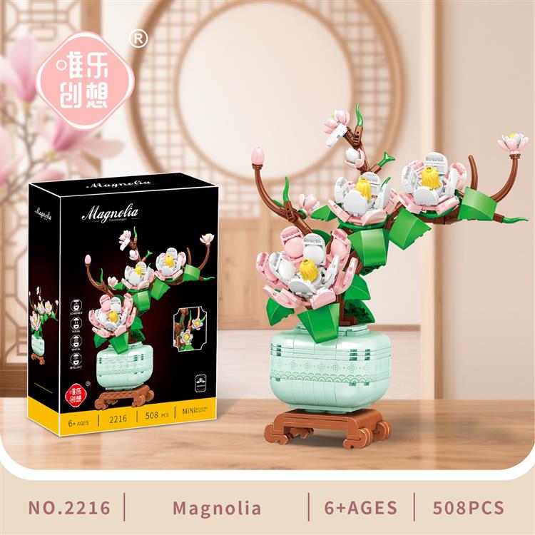 玉兰花开 2216