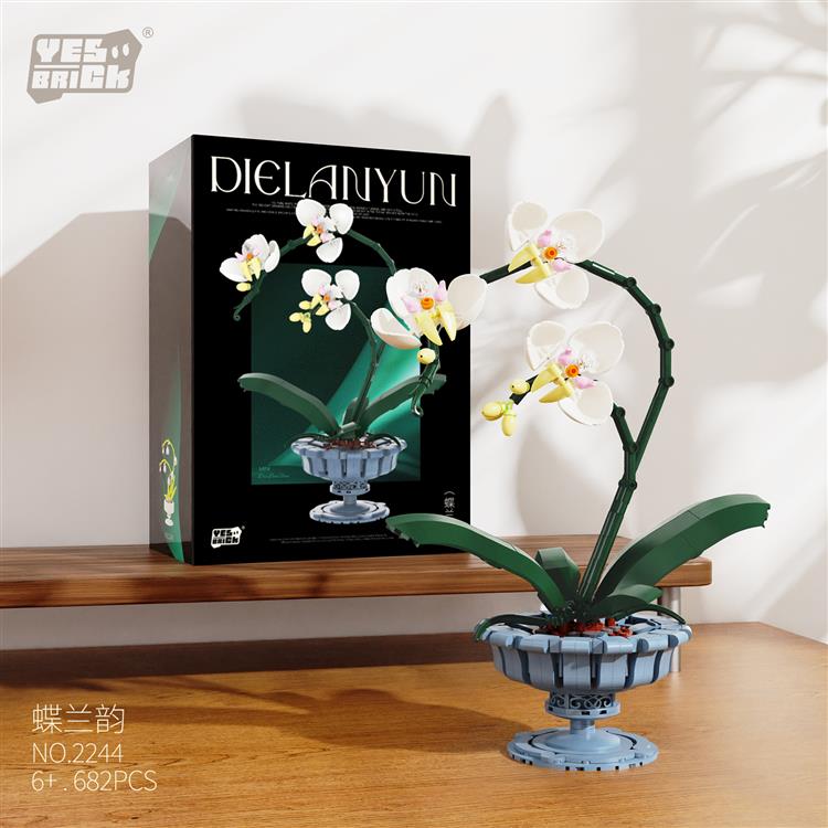 蝶兰韵 2244