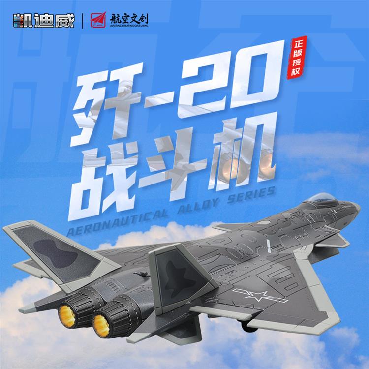 1:72 歼-20战斗机 685212
