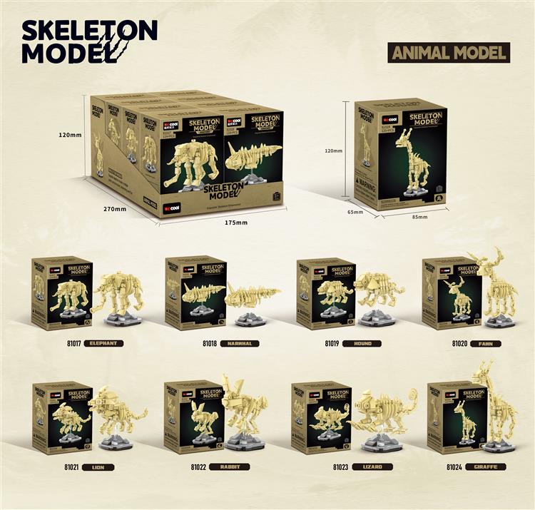 动物骨架模型 81017-81024