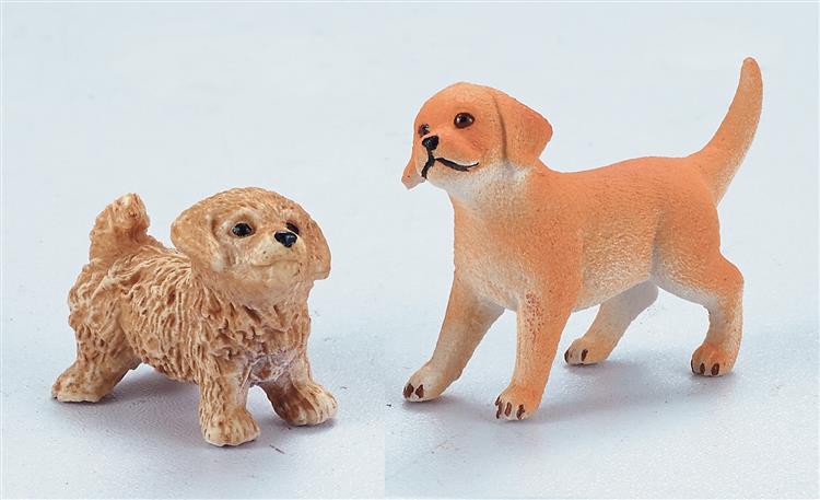 金毛狗套装 16003