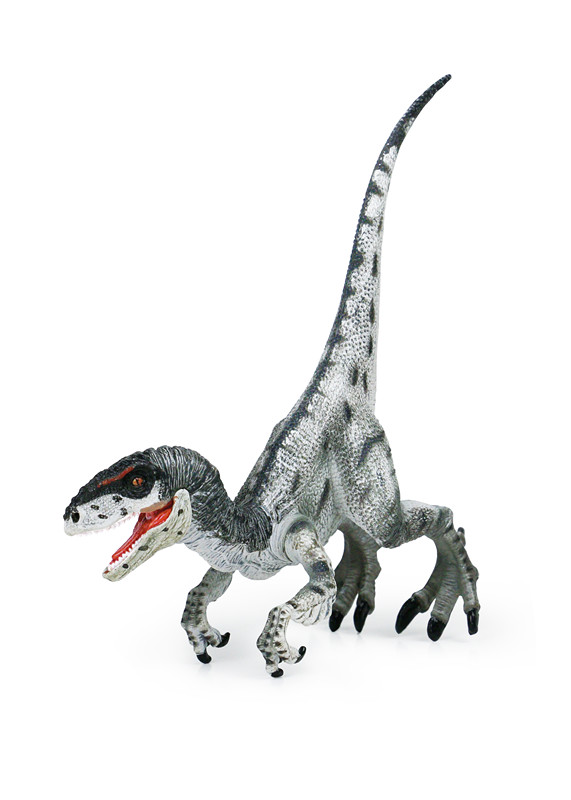 x2057-汕头市新凯纳科教玩具有限公司-新凯纳科教-产品详情